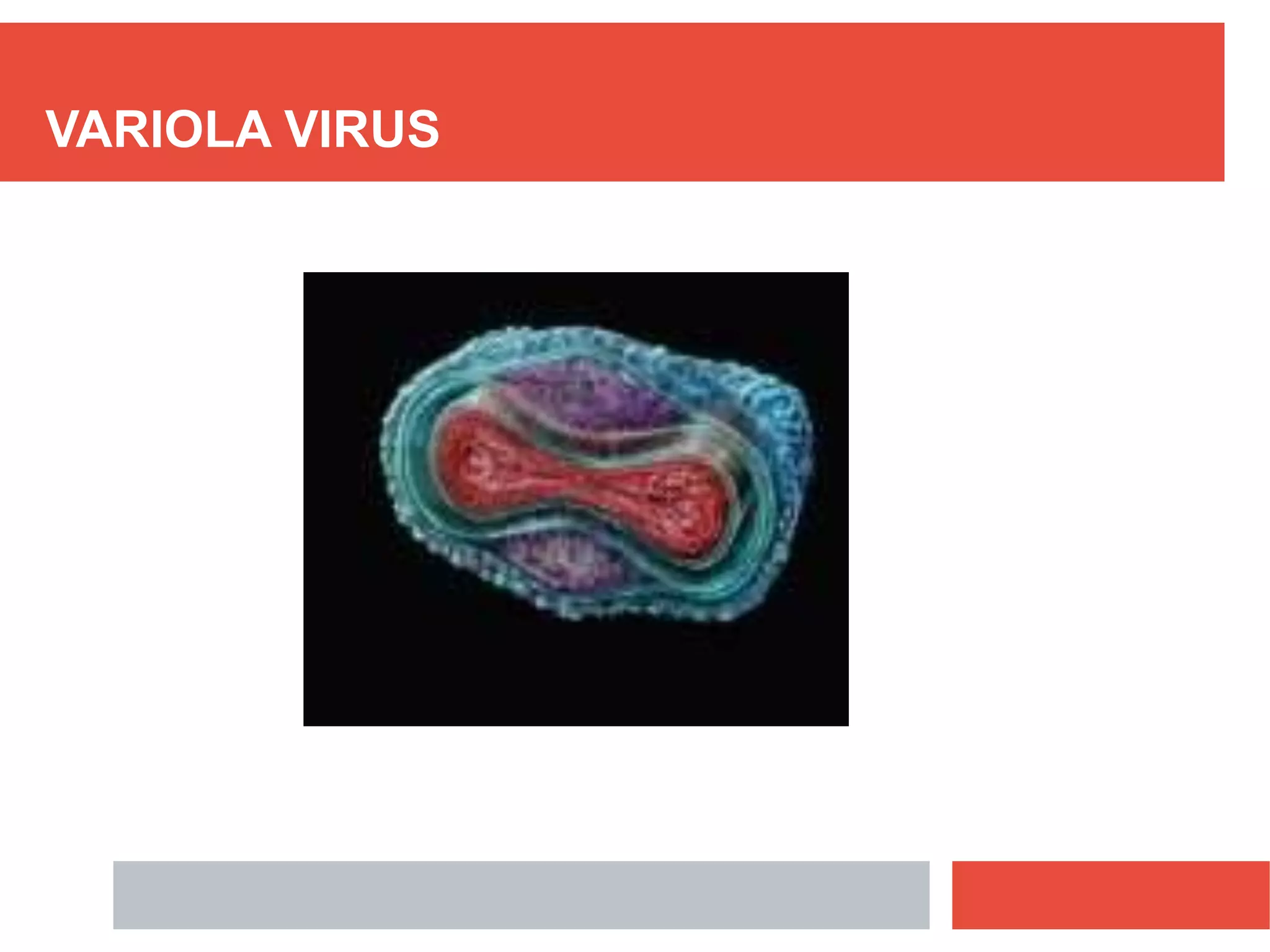 VARIOLA VIRUS
 