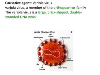 Smallpox Classification smallpox chickenpox influenza ppt.pptx