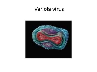 Variola virus
 
