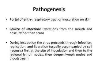 Pathogenesis
• Portal of entry: respiratory tract or inoculation on skin
• Source of infection: Excretions from the mouth and
nose, rather than scabs
• During incubation the virus proceeds through infection,
replication, and liberation (usually accompanied by cell
necrosis) first at the site of inoculation and then to the
regional lymph nodes, then deeper lymph nodes and
bloodstream
 