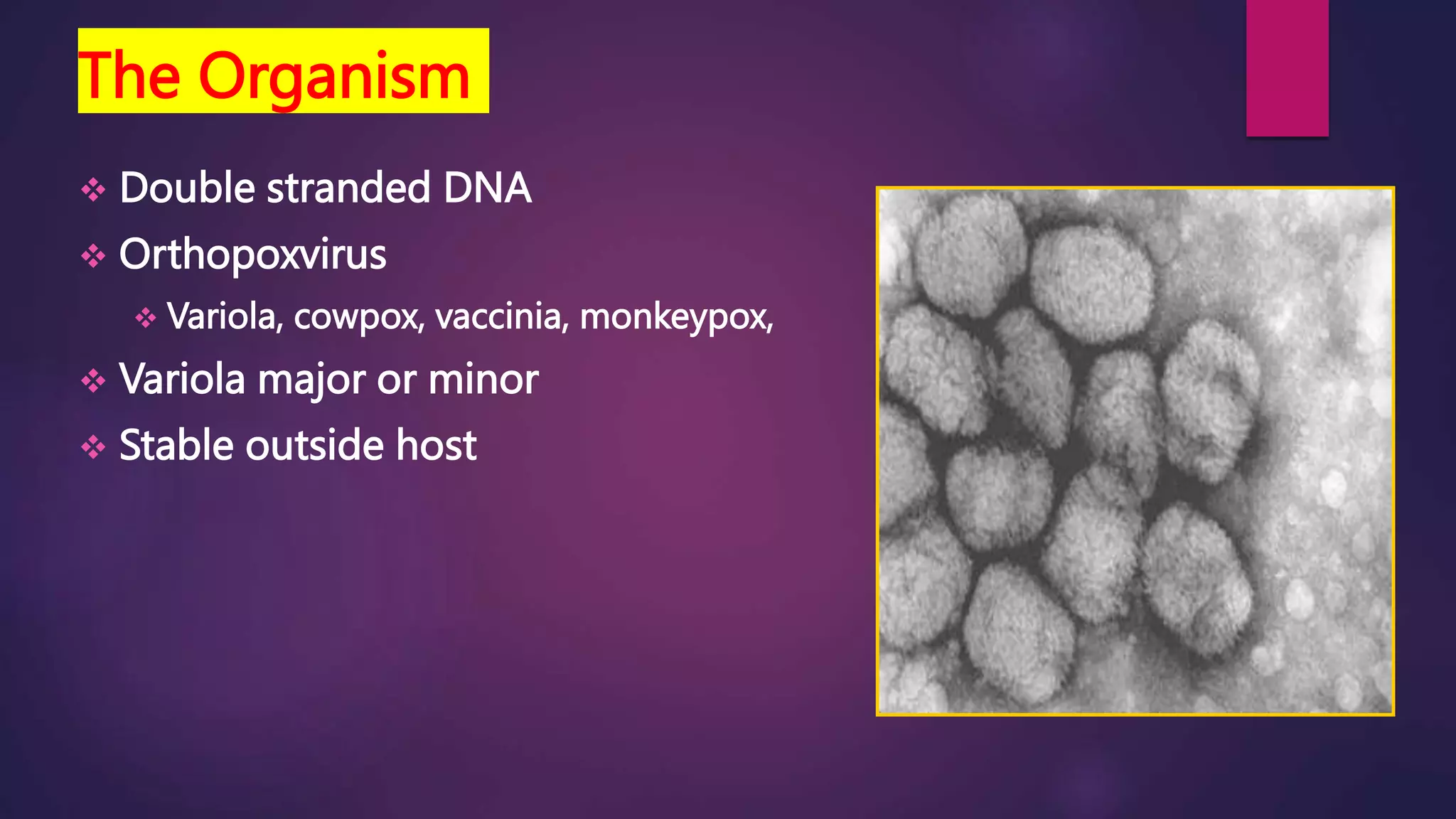 SMALL POX; Variola virus@variola major and variola minor.pptx | Free ...