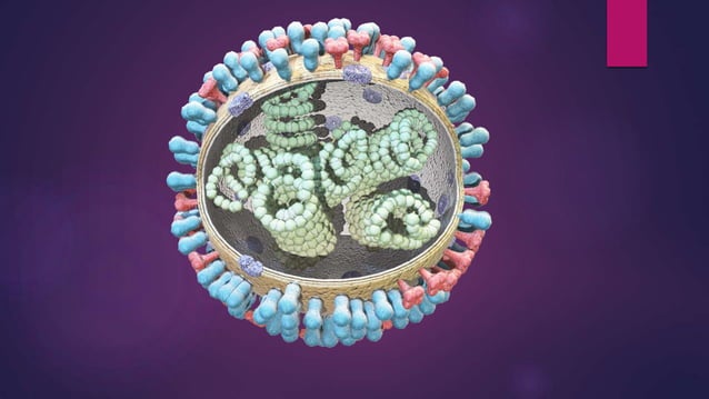 SMALL POX; Variola virus@variola major and variola minor.pptx