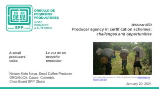 11 de
novie
mbre
de
2020
Webinar IIED
Producer agency in certification schemes:
challenges and opportunities
January 20, 2021
A small
producers’
voice
Nelson Melo Maya, Small Coffee Producer
ORGANICA, Cauca, Colombia.
Chair Board SPP Global
La voz de un
pequeño
productor
Fair trade coffee growers in Tacuba, El Salvador (Photo: Adam Baker via
Flickr, CC BY 2.0)
 