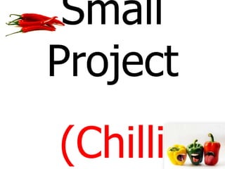 Small
Project
(Chilli

 