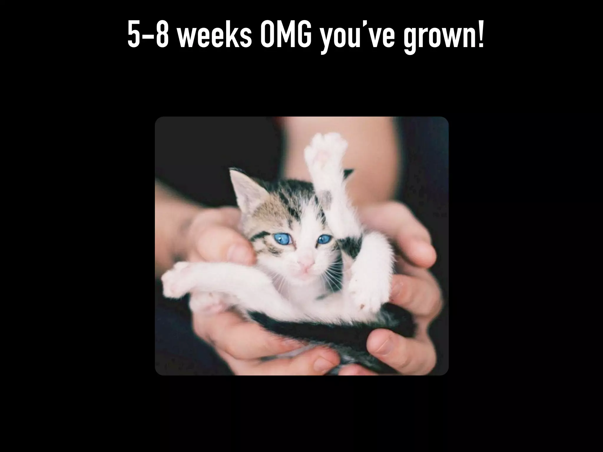 5-8 weeks OMG you’ve grown!
 