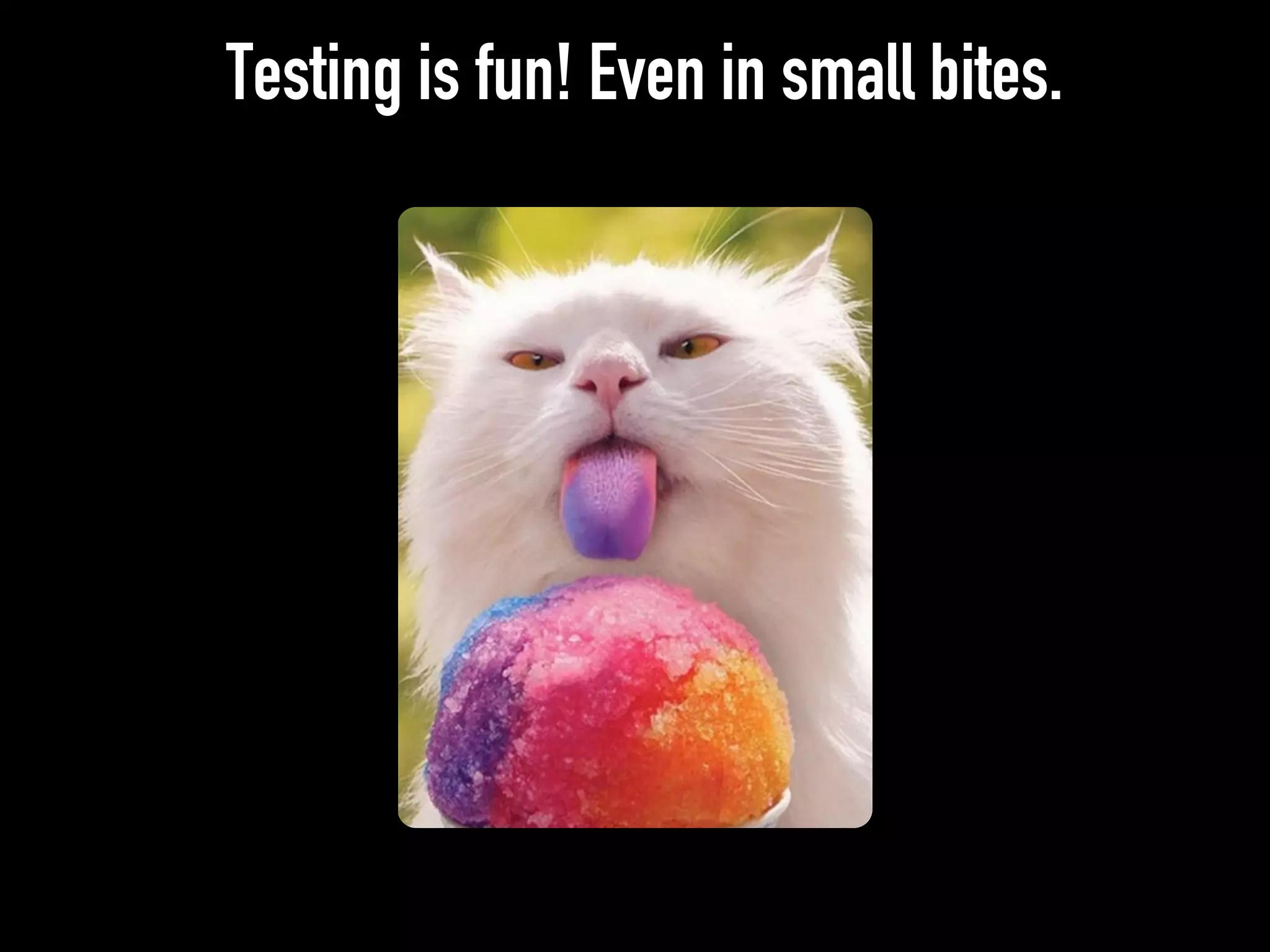 Testing is fun! Even in small bites.
 