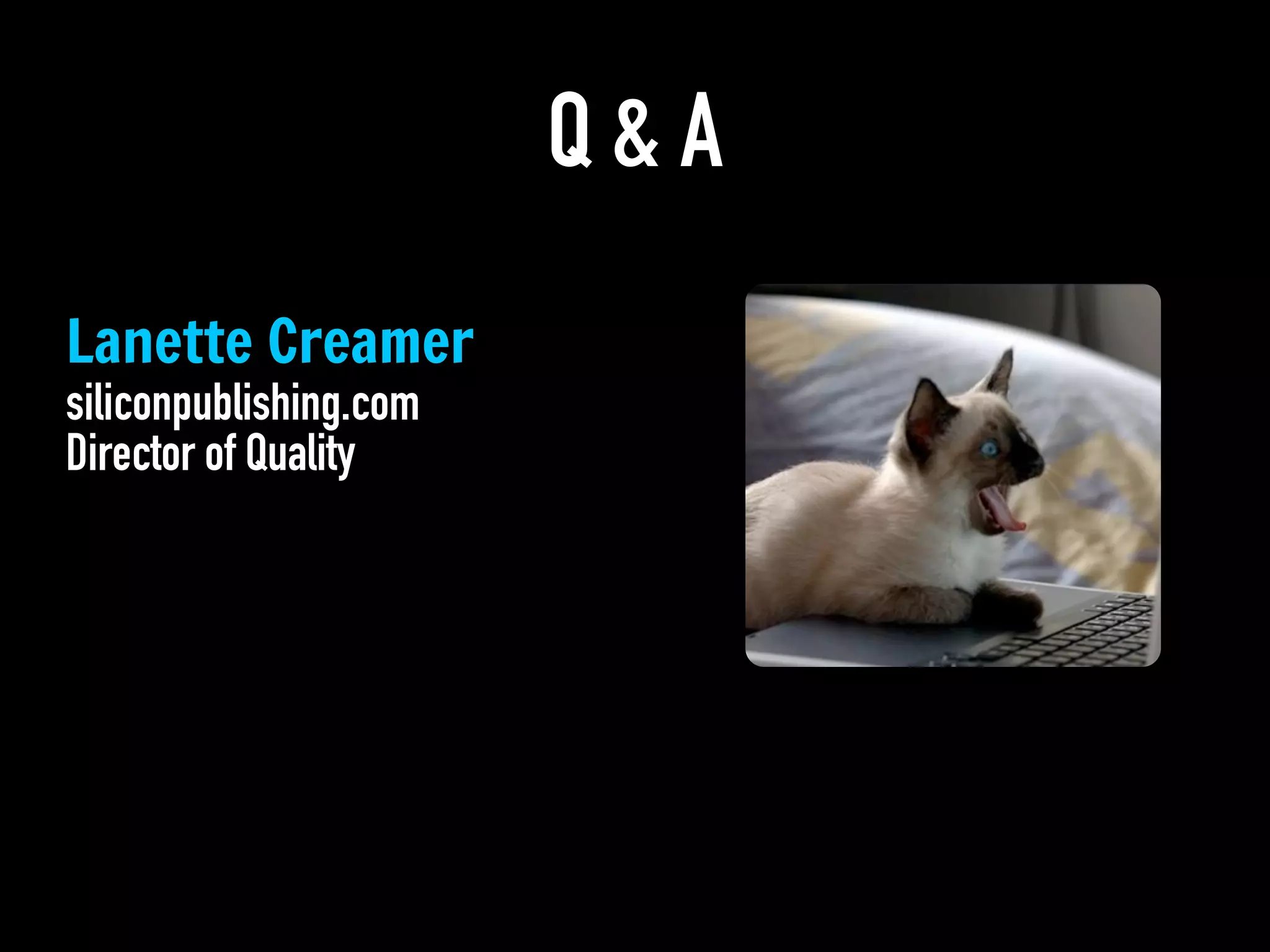 Q & A
Lanette Creamer
siliconpublishing.com
Director of Quality
 