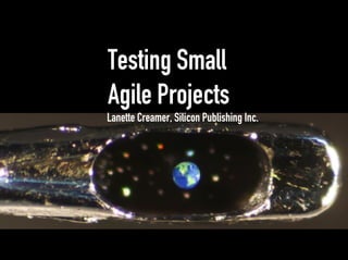 Testing Small
Agile Projects
Lanette Creamer, Silicon Publishing Inc.
 