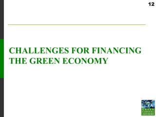 12




CHALLENGES FOR FINANCING
THE GREEN ECONOMY
 