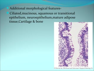 Additional morphological features-
Ciliated,mucinous, squamous or transitional
epithelium, neuroepithelium,mature adipose
tissue,Cartilage & bone
 