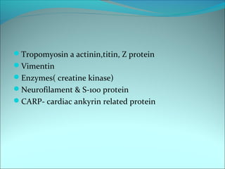 Tropomyosin a actinin,titin, Z protein
Vimentin
Enzymes( creatine kinase)
Neurofilament & S-100 protein
CARP- cardiac ankyrin related protein
 