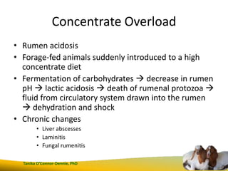 Small ruminant nutrition jvma | PPTX