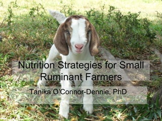 Nutrition Strategies for Small
Ruminant Farmers
Tanika O’Connor-Dennie, PhD
 
