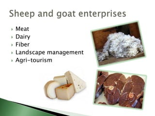 Primary income is from the sale of live animals for meat and/or the sale of meat.Most popular sheep and goat enterprise.There is a demand for many different kinds of lambs and goats.Marketing infrastructure is already in place.Meat production