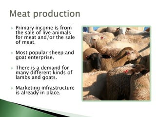Dairy productionPrimary income is from the sale of milk, cheese, and/or other dairy products.In most states, operation must be certified grade A or B to sell food products.Usually requires own product development and marketing.