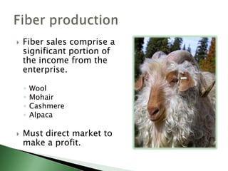 Land improvement on your own farm.Fee-based grazing“Turn-key” operationAnimalsTransportationFencingCareGreatest economic potential ! ? Landscape management
