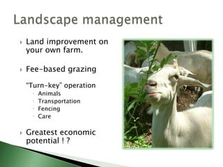 Agri-tourism :  trophy huntingSell stock for trophy hunting or operate your own hunting reserve.  Usually  hair sheep rams.