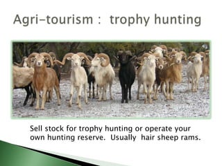 Agri-entertainment