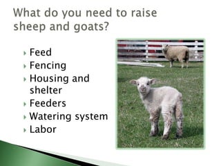Pasture and browseHayGrainAlternative feedstuffsFeed resourceThe largest cost associated with raising livestock is feed.