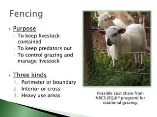 Multi-strand, high-tensile, electric.Woven wire with extra barbed and electric offset wires.Barbed wireAdapt existing fences.Perimeter fencingYour first line of defense against predators.