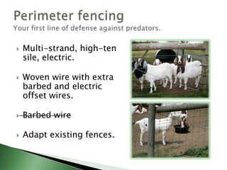 PermanentSemi-permanent Temporary, electricSmooth wirePolywire, tape, or ropeElectric nettingInterior fencingFor rotational grazing and animal management.