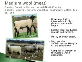 Long woolBorder Leicester, Coopworth, Cotswold, Lincoln, Perendale, Romney, WensleydaleRomneyGrow wool that has the largest fiber diameter, staple length, and yield.Their wool is popular among hand spinners.Best-adapted to high rainfall areas with abundant forage.LincolnRomney