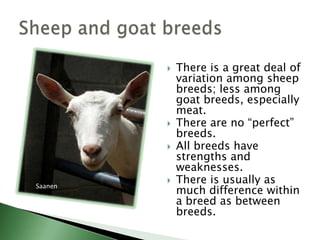 Mating animals from different breeds or breed types.Maximizes performance and profitabilityHybrid vigorCrossbred offspring are superior to their purebred parentsBreed complementarityUse breeds in their appropriate rolesCrossbreeding Systematic, not randomBoer x Kiko x Alpine