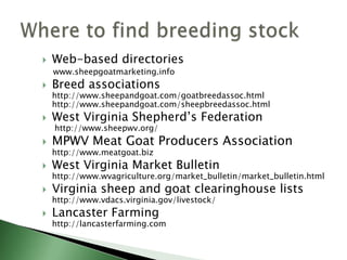 EconomicsCan you make any money raising sheep and/or goats?Yes or No