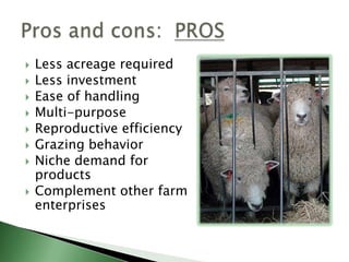 Small industry.Lack of infrastructure.Lack of mainstream demand for products.Fencing requirements.Labor requirements.Predator risk.Pros and cons:  CONS