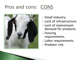 Similar production practices and inputs.Same diseases.Similar niche and ethnic demand for products.Similar constraints to production: the 3 P’s.PricesPredatorsParasitesSheep vs. goatsMore similarities than differences 