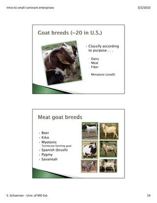 Small Ruminant Meat Intro to small ruminant enterprises | PDF