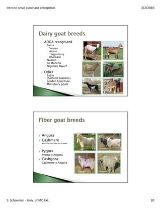 Intro to small ruminant enterprises | PDF