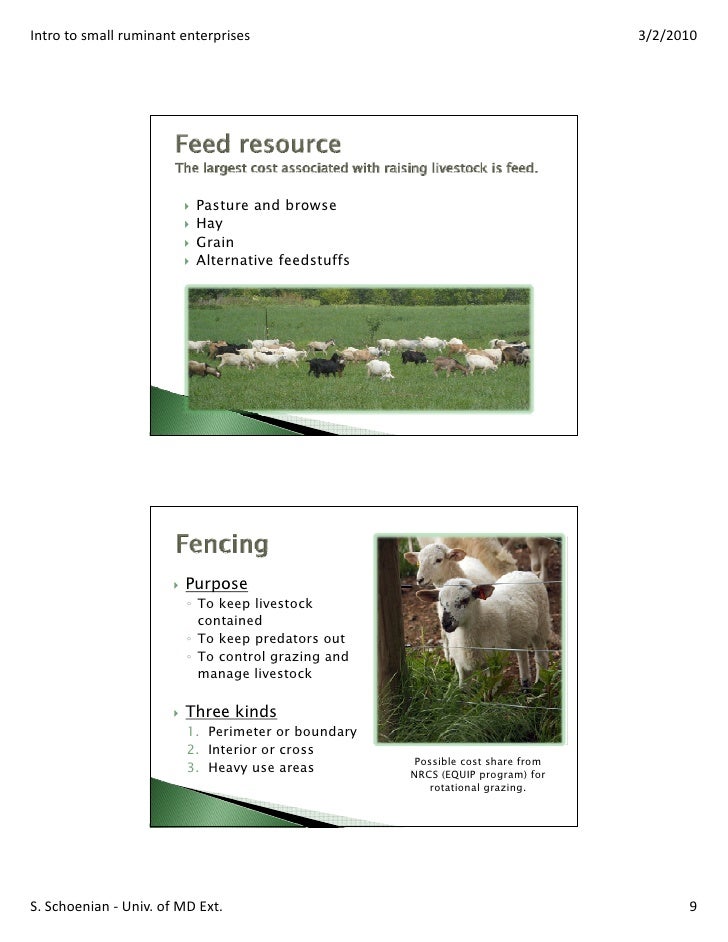 Intro to small ruminant enterprises
