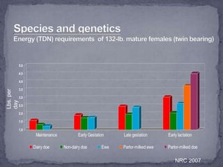 Small Ruminant Nutrition | PPTX