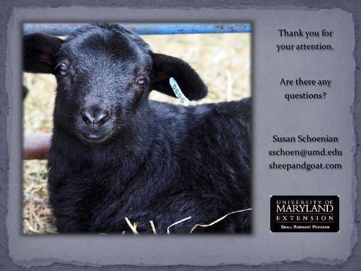 Small Ruminant Nutrition