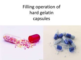 Filling operation of 
hard gelatin 
capsules 
 