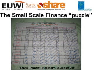 The Small Scale Finance “puzzle” Sophie Trémolet, Stockholm, 25 August 2011 
