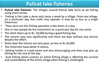 Discourging Fish Small scale fishers in responsible fishing and conservation of Aquatic ...