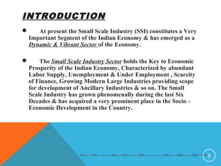 Introduction of micro and small scale industries