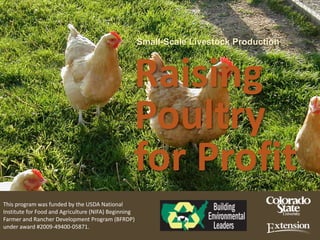 Small-Scale Livestock Production



                                                  Raising
                                                  Poultry
                                                  for Profit
This program was funded by the USDA National
Institute for Food and Agriculture (NIFA) Beginning
Farmer and Rancher Development Program (BFRDP)
under award #2009-49400-05871.
 