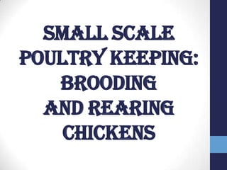 Small scale
poultry keeping:
brooding
and rearing
chickens

 