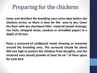 Small scale poultry keeping – brooding | PPTX