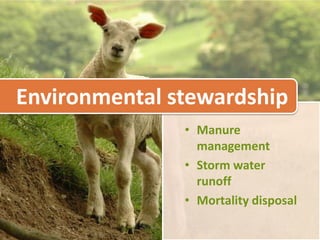 Linking Production & Marketing
 Decisions
• Choose a breed that is appropriate for the markets
  you will serve (meat, fleece, milk)
• If you are producing meat animals, do you have a
  slaughter and processing facility that will work
  with your level of production and cuts you desire?
• Know who will buy your product before you
  produce it
• Take a course in Good Agricultural Practices (GAPs)
  – To understand how to prevent or reduce contamination of your
    products throughout production, processing and sales
  – Obtaining GAPs certification is also a good marketing strategy
 