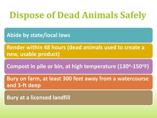 Monitor Storm Water Runoff
Conduct annual tests for bacteria and nitrates in well
water
Locate livestock operations away from wellheads;
protect wellheads in pastures (consult local/state
wellhead protection laws)
Use buffers and setbacks to protect surface waters
from direct contact with animal waste and process
waste water
Divert clean water (run-on) around production and
waste storage areas using berms, ditches grassy
swales, roof gutters
 