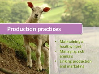 Dispose of Dead Animals Safely
Abide by state/local laws

Render within 48 hours, where service is available (dead
animals used to create a new, usable product)

Compost in pile or bin, at high temperature (130o-150oF)

Bury on farm, at least 300 feet away from a watercourse
and 3-ft deep, above the wet season high watertable

Bury/dispose at a licensed landfill
 