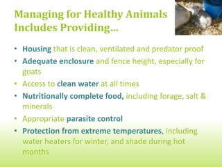 Production practices

                 • Maintaining a
                   healthy herd
                 • Managing sick
                   animals
 