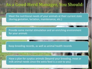 As a Good Herd Manager, You Should:
  Observe your animals and learn what behaviors are normal, so you
  recognize unusual behaviors indicating a possible health issue


  Check your animals regularly-twice daily is best for monitoring
  health and behavior



  Become familiar with common small ruminant health issues and
  diseases



  For the breed you are raising, know the lambing/kidding age and
  years of reproductive capability
 