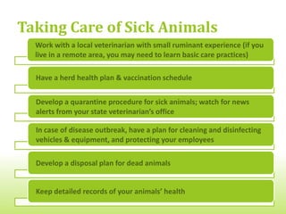 As a Good Herd Manager, You Should:

 Meet the nutritional needs of your animals at their current state
 (during gestation, lactation, maintenance, etc.)


 Provide some mental stimulation and an enriching environment
 for your animals



 Keep breeding records, as well as animal health records



 Have a plan for surplus animals (beyond your breeding, meat or
 milk animal needs since the extra feed is a cost to you)
 