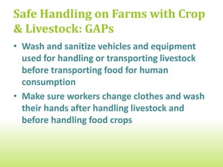 Safe Handling on Farms with Crop
& Livestock: GAPs
• Wash and sanitize vehicles and equipment
  used for handling or transporting livestock
  before transporting food for human
  consumption

• Make sure workers change clothes and wash
  their hands after handling livestock and
  before handling food crops
 