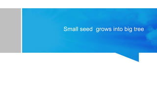 Small seed grows into big tree
 